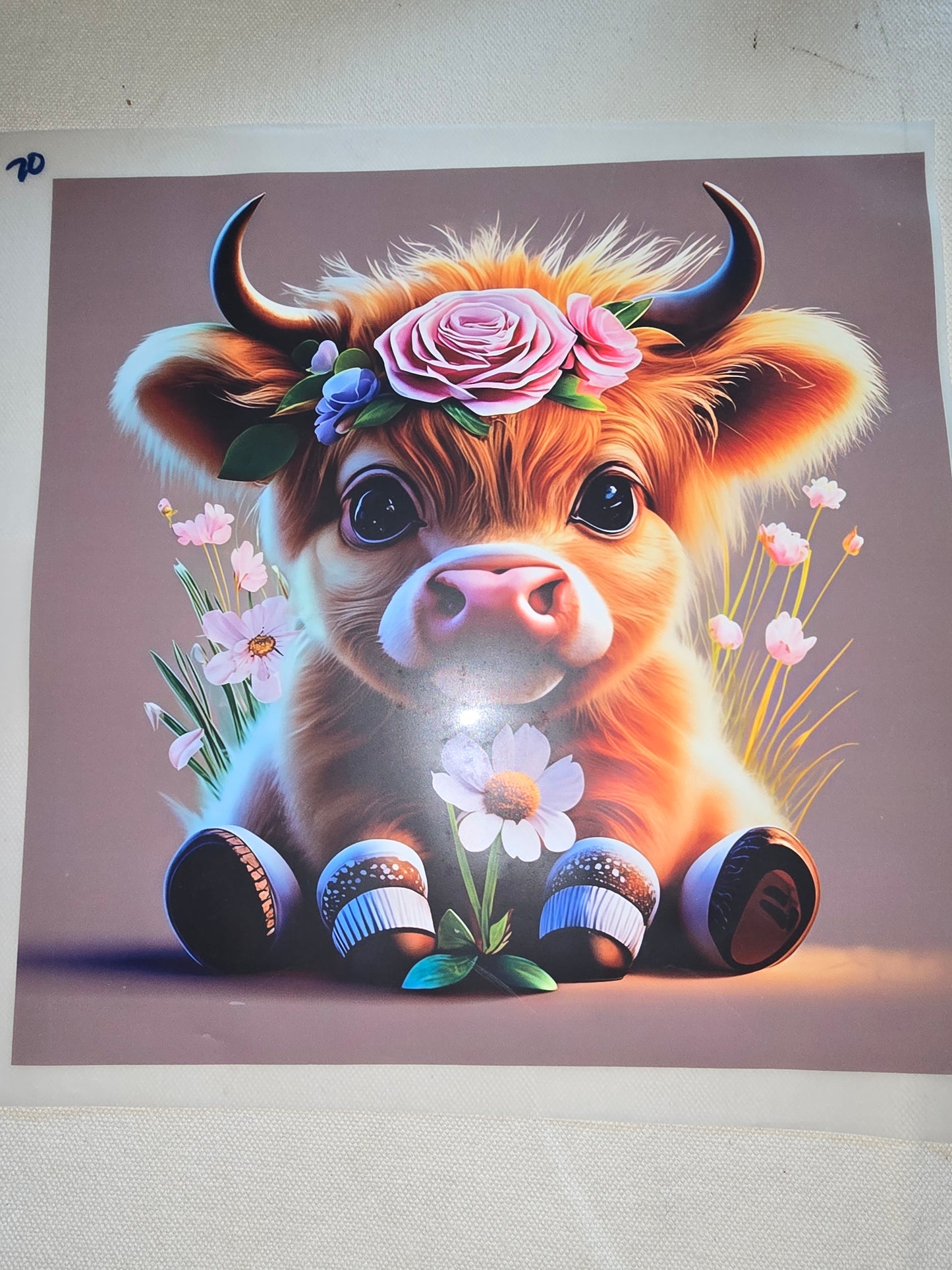 Heat Transfer - Cows, Horses