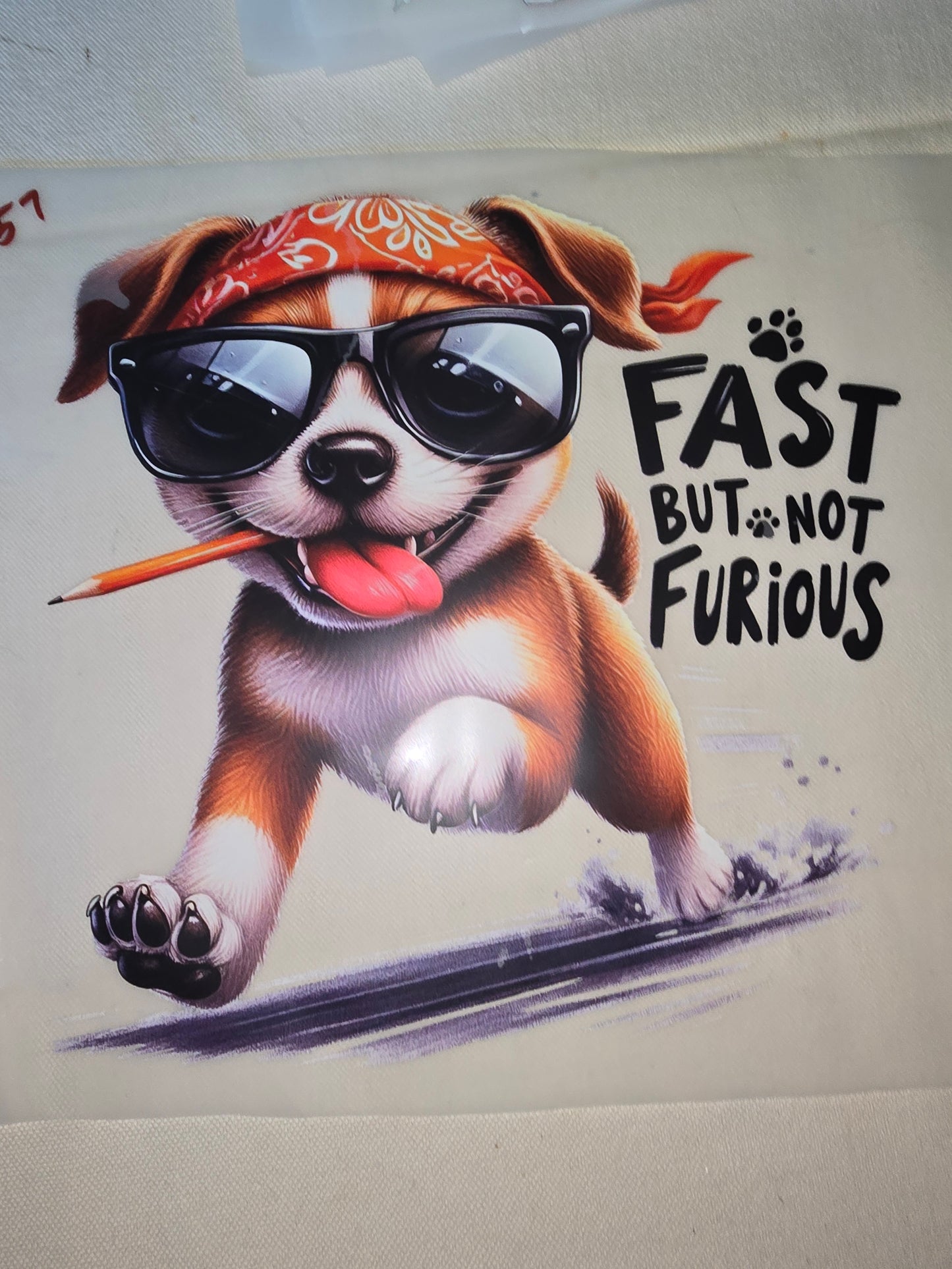 Heat Transfer - Dogs, Cats