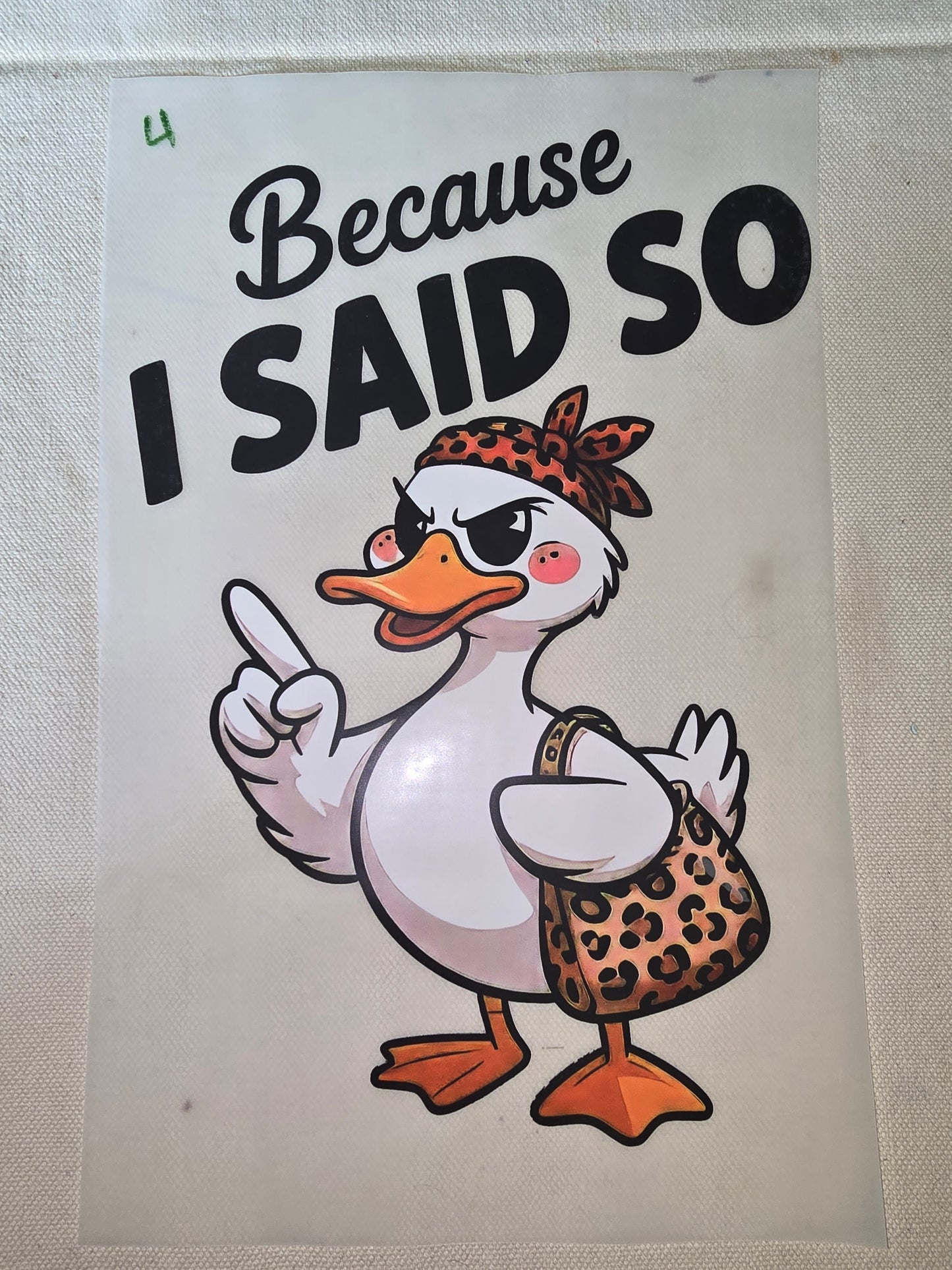 Heat Transfer - Chicken and other feathered friends
