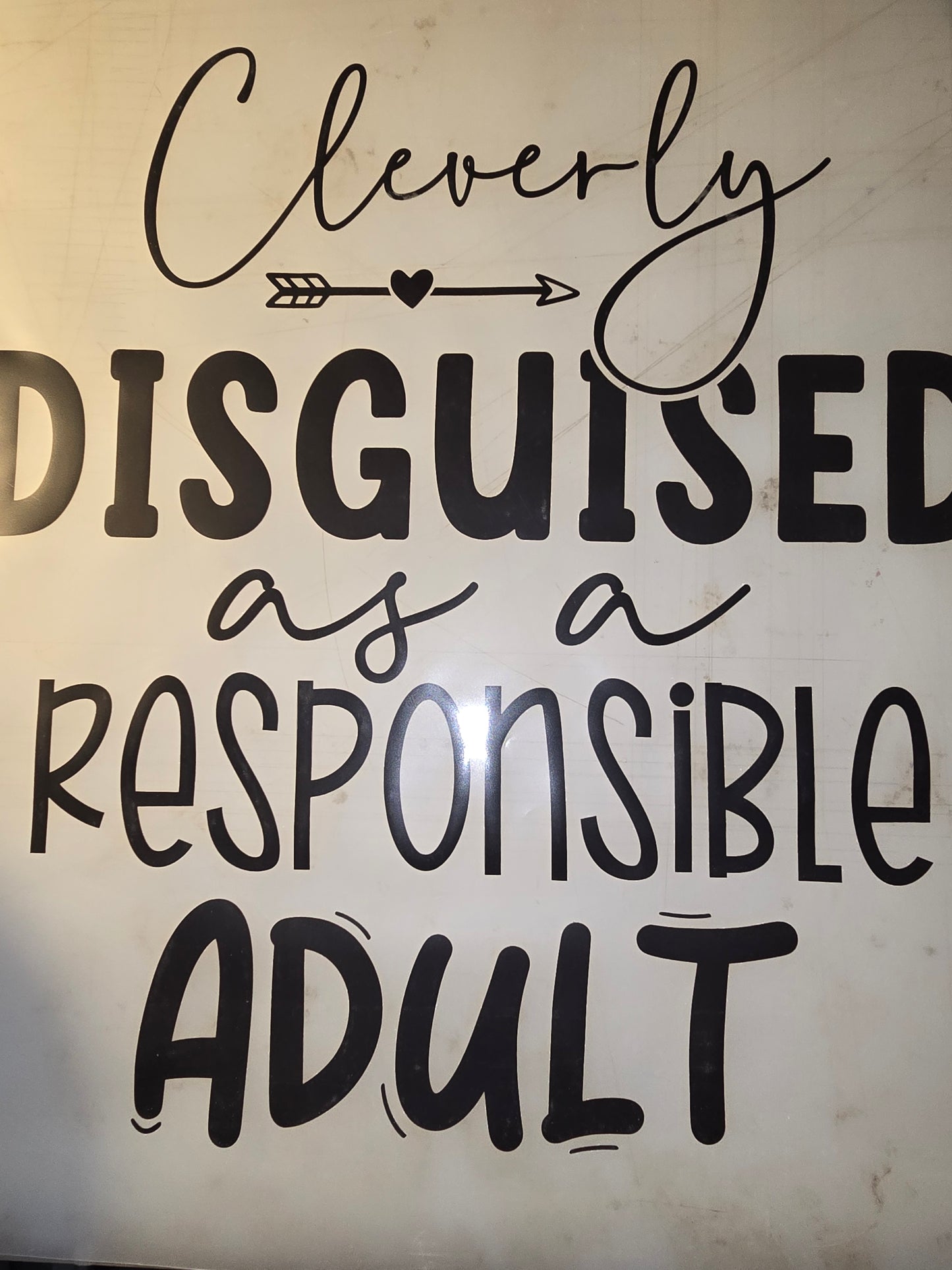 Heat Transfer - Naughty, Adult Humor