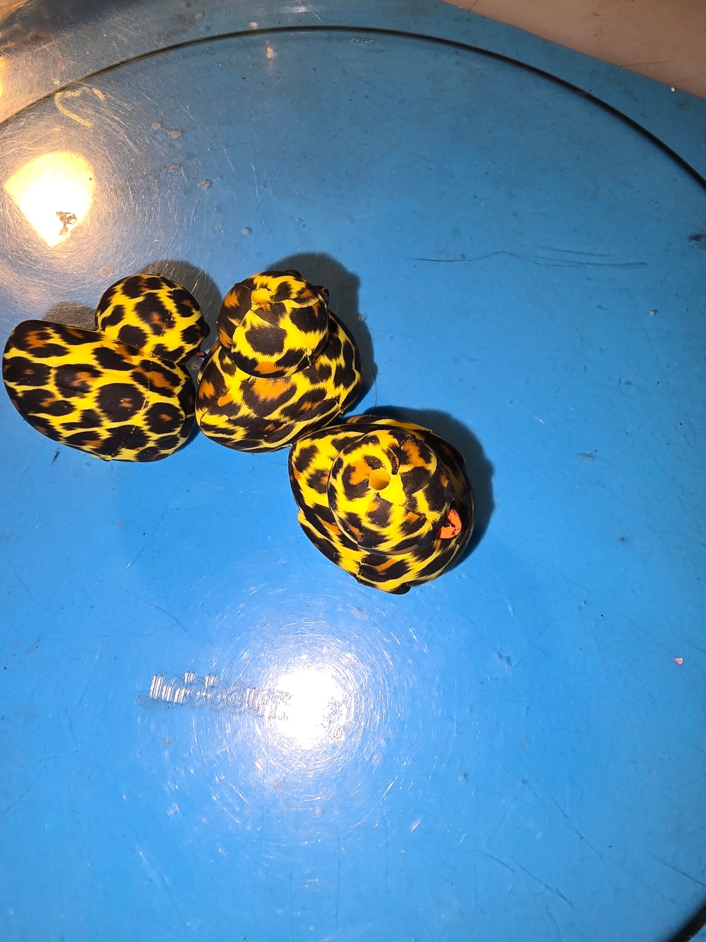 Silicone Focals Animals