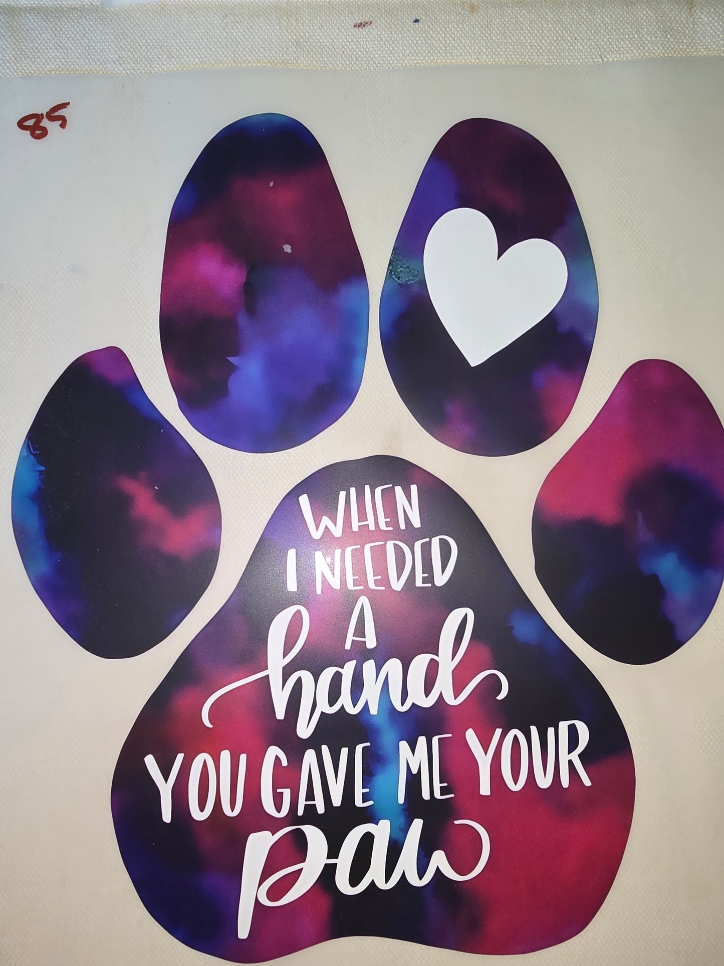 Heat Transfer - Dogs, Cats