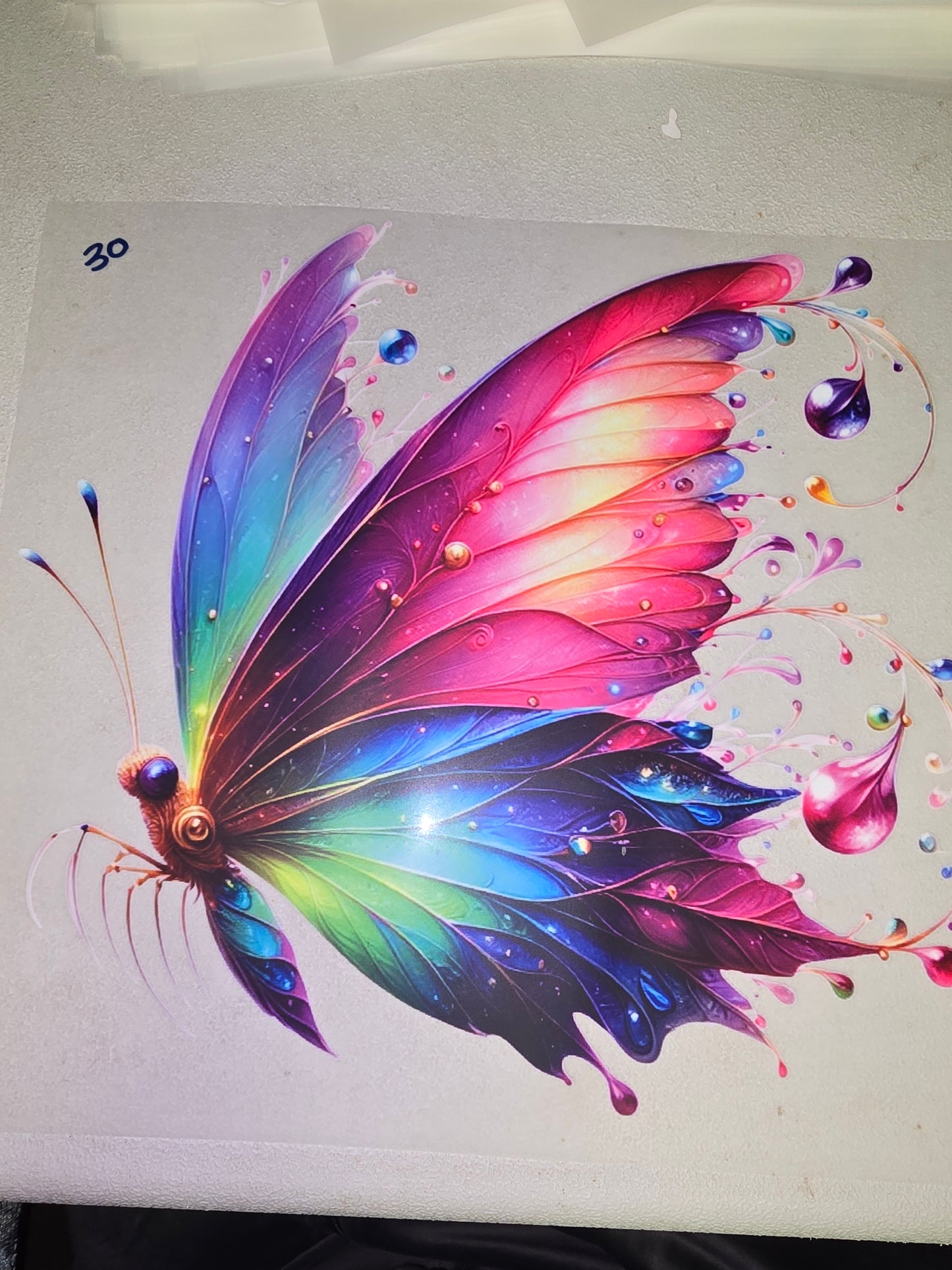 Heat Transfer - Bee, Butterfly, Dragonfly, Moth