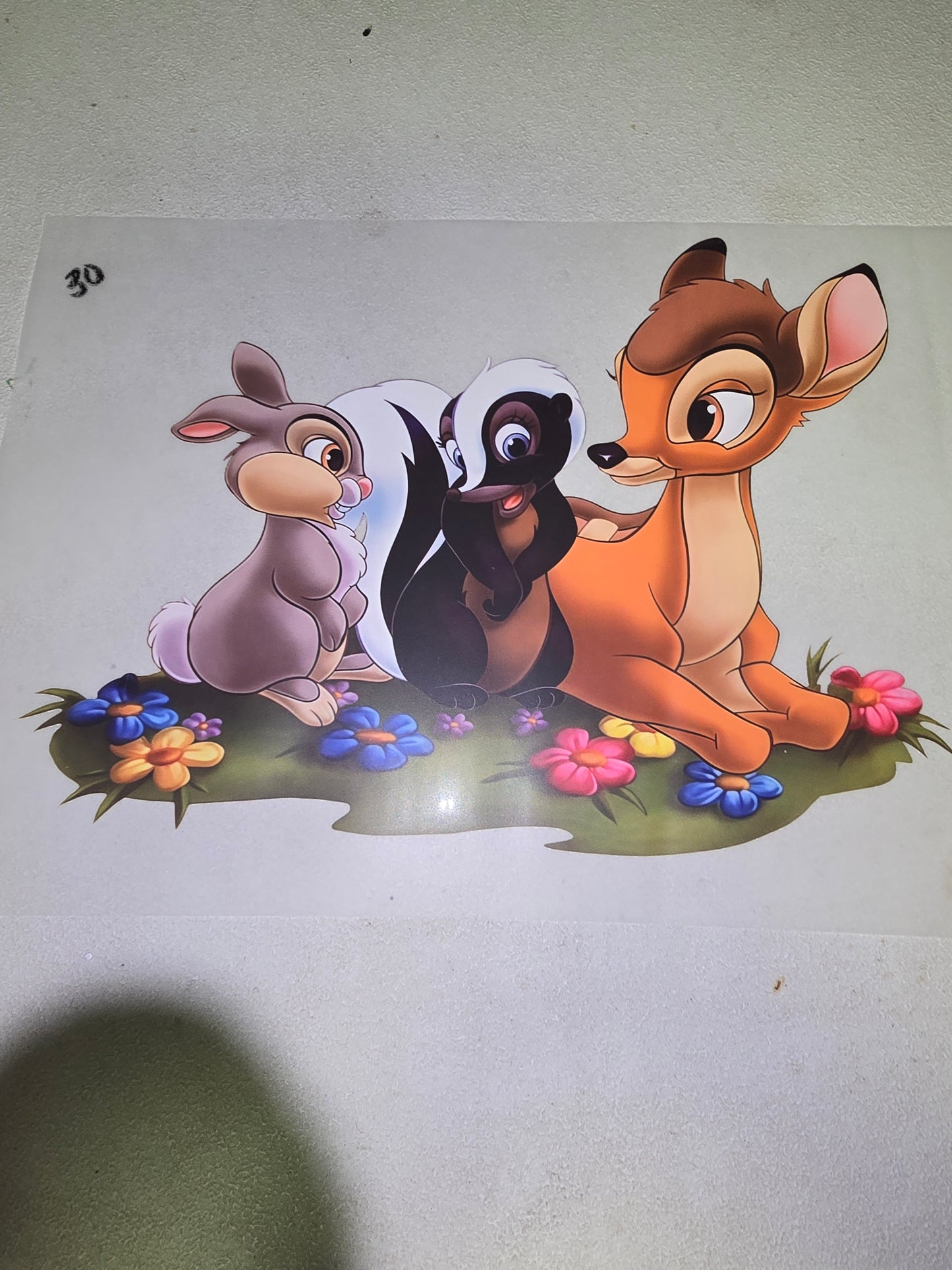 Heat Transfer - Disney