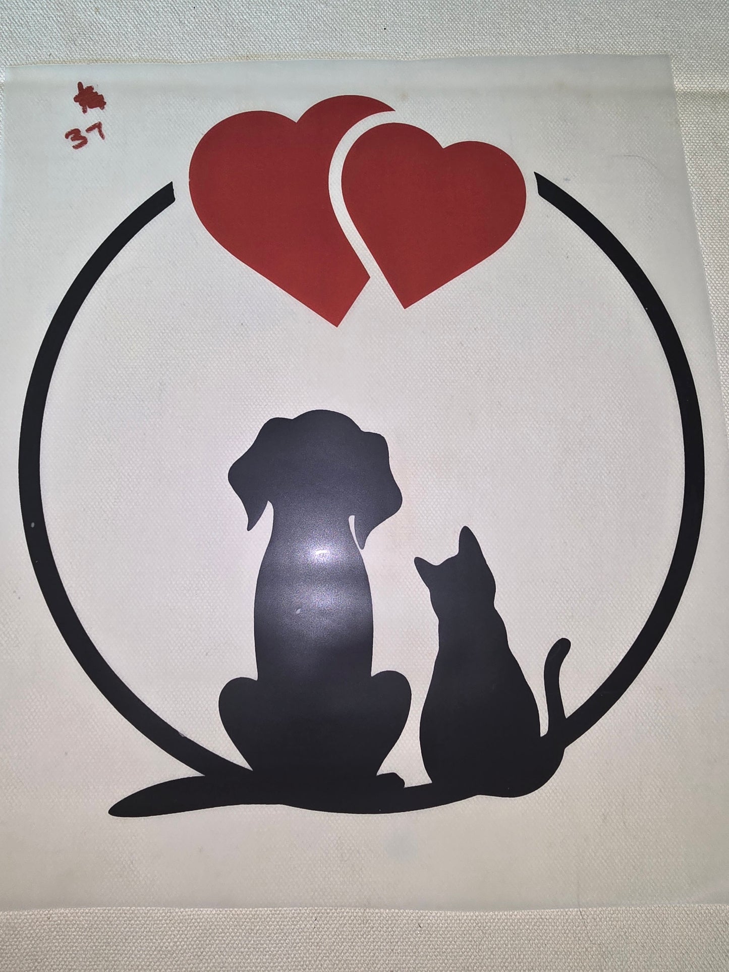 Heat Transfer - Dogs, Cats