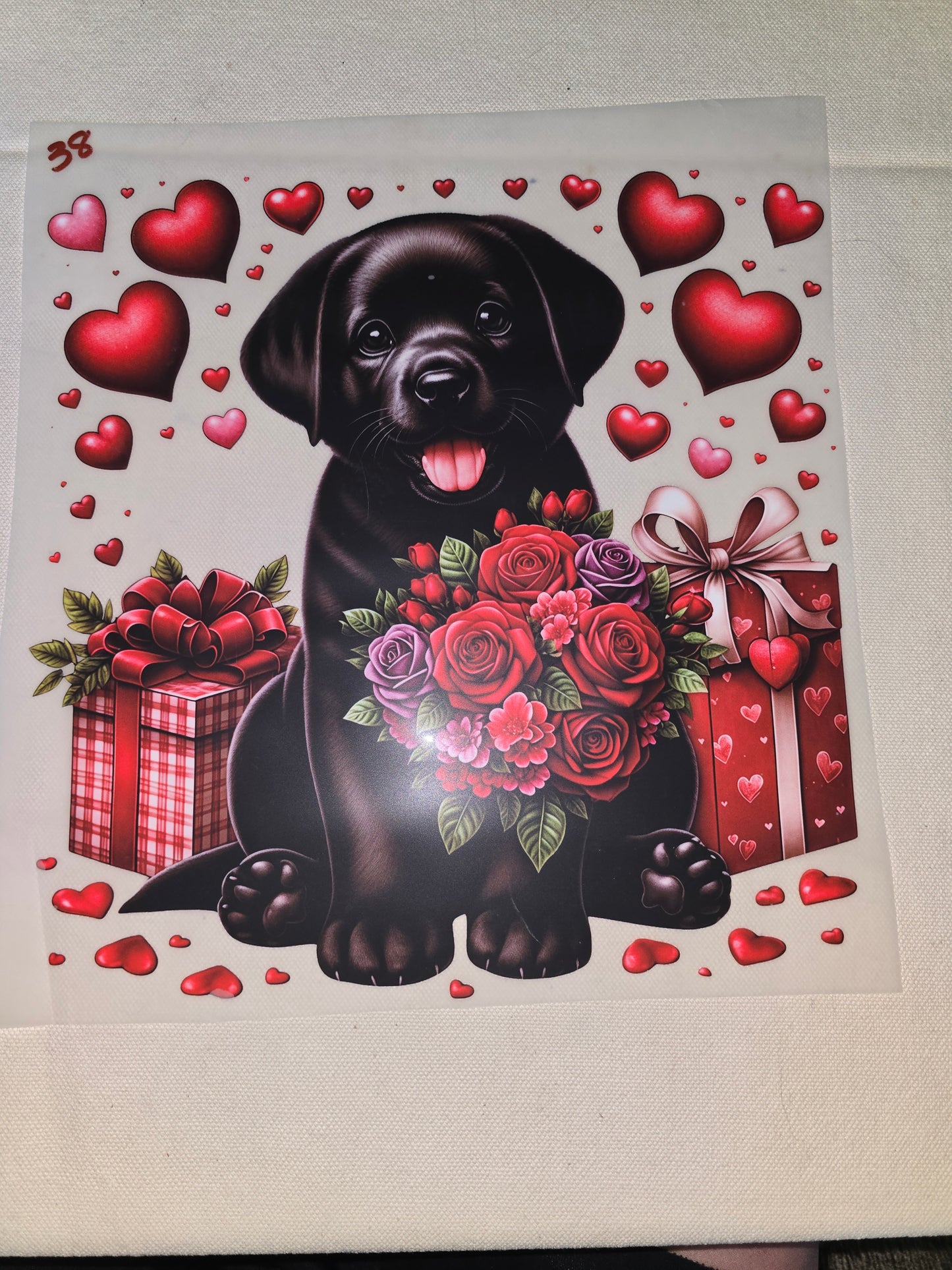 Heat Transfer - Dogs, Cats