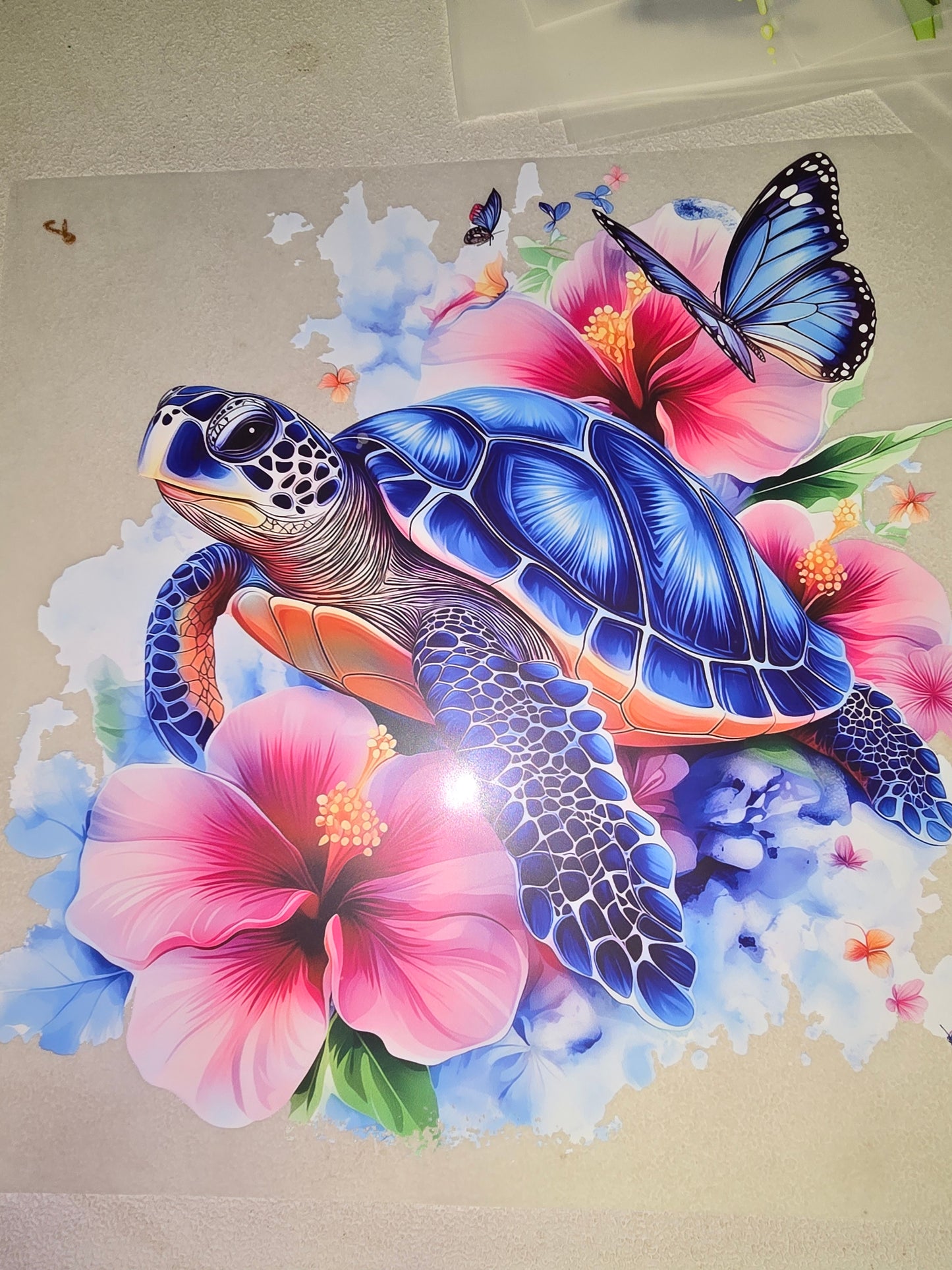 Heat Transfer - Sea Animals, Frogs, Turtles