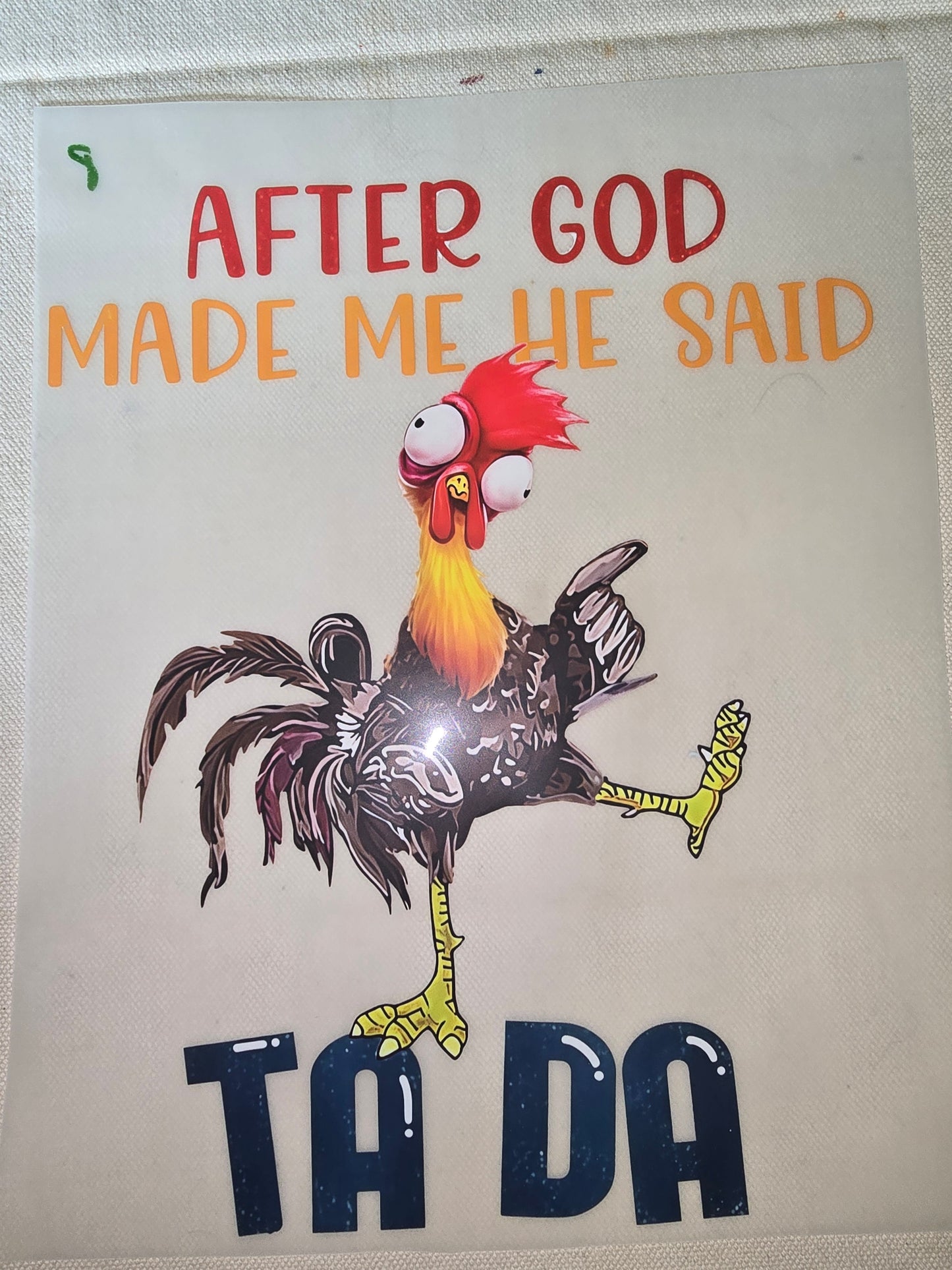 Heat Transfer - Chicken and other feathered friends