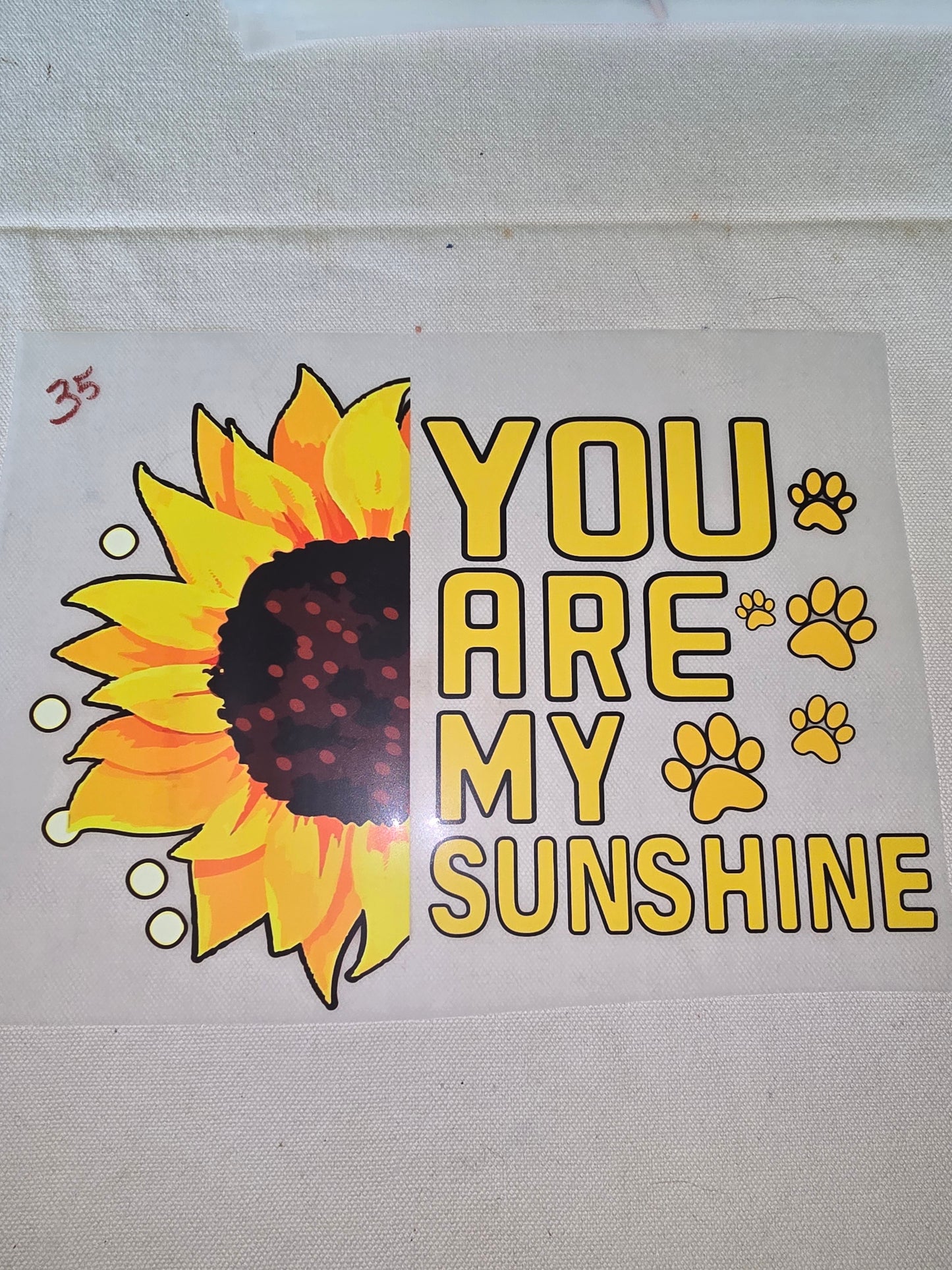 Heat Transfer - Dogs, Cats