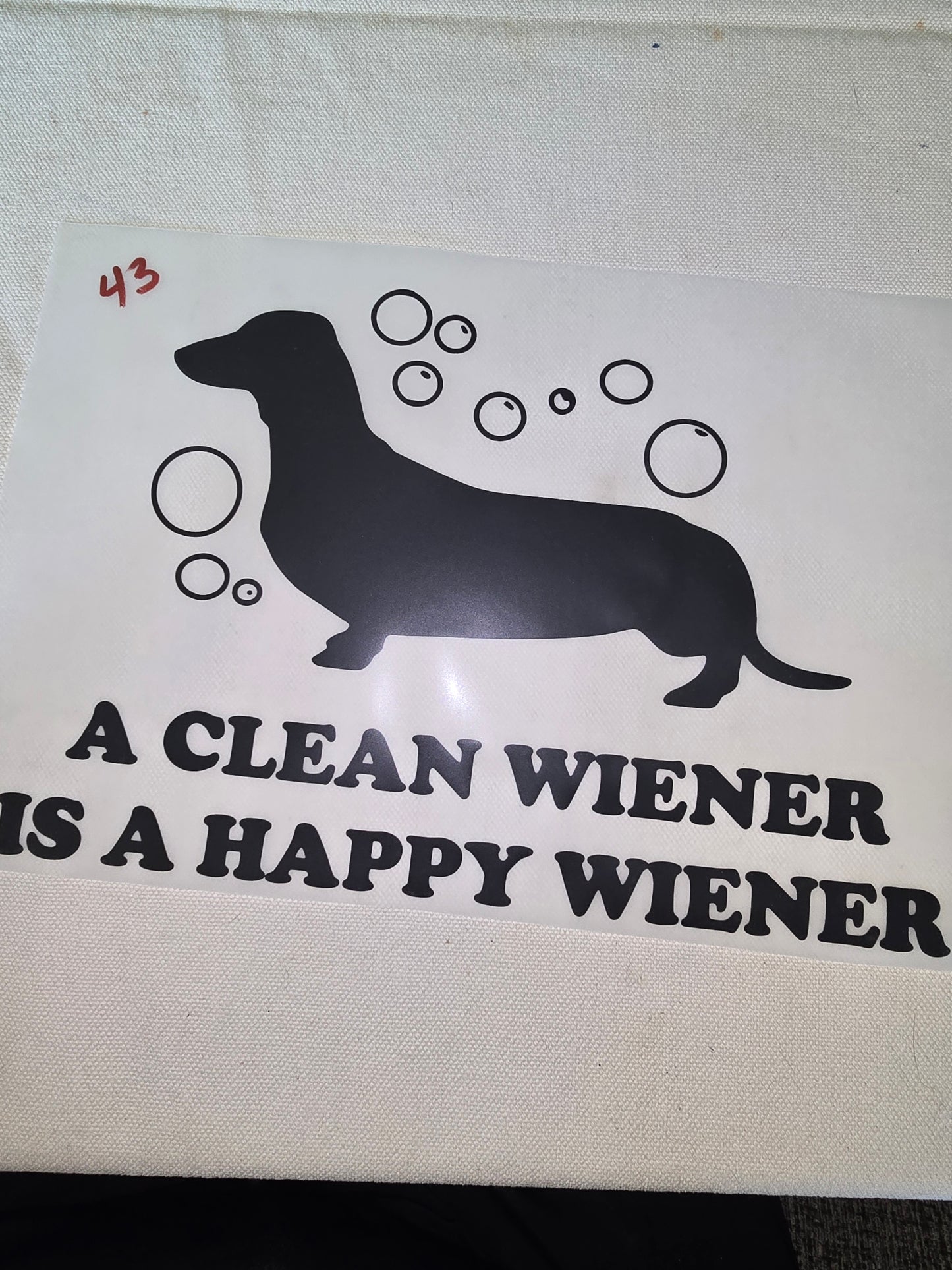 Heat Transfer - Dogs, Cats