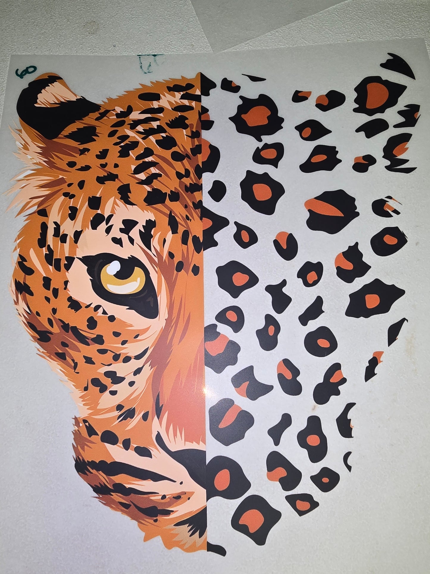 Heat Transfer - Other Animals