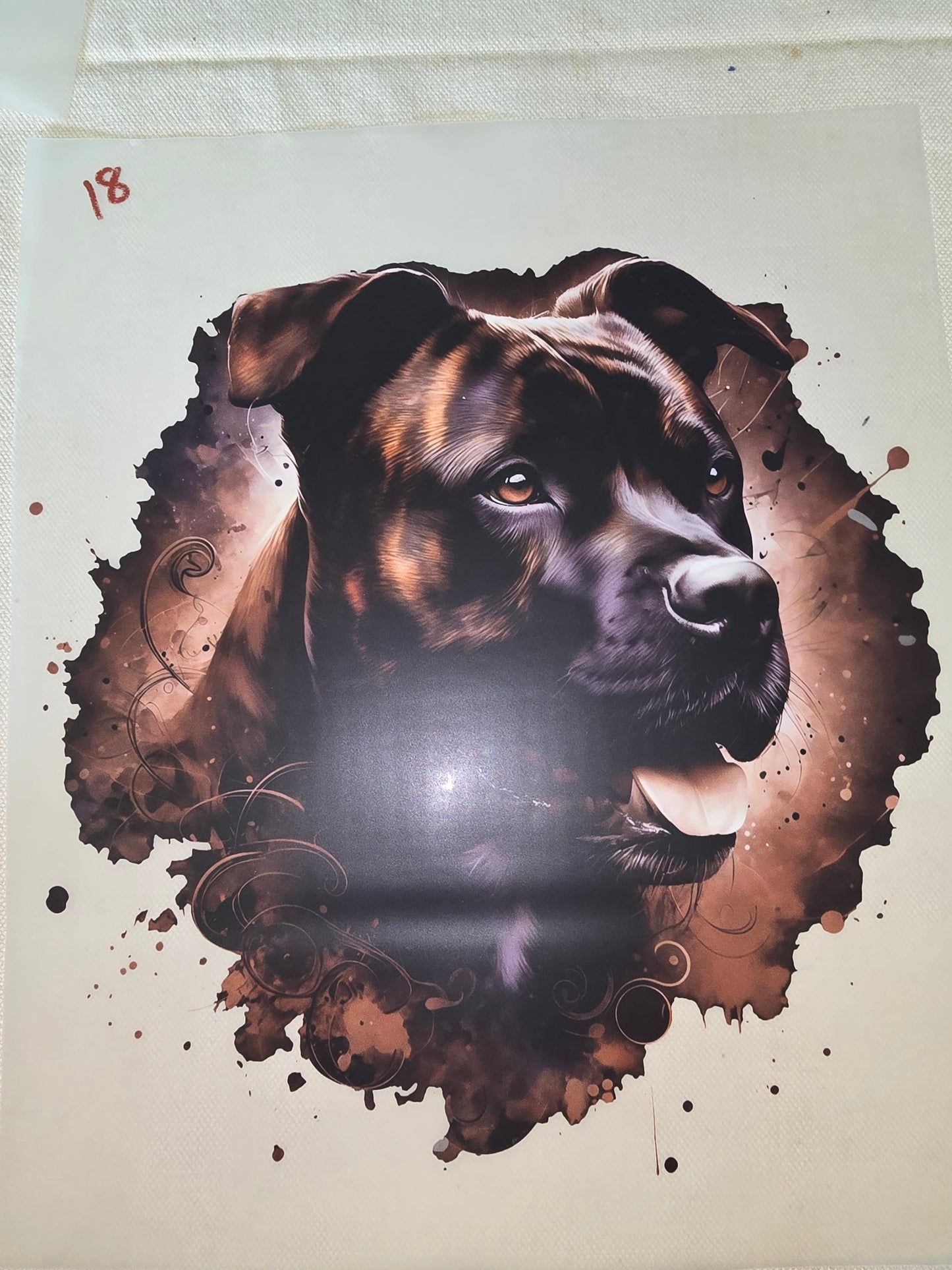 Heat Transfer - Dogs, Cats