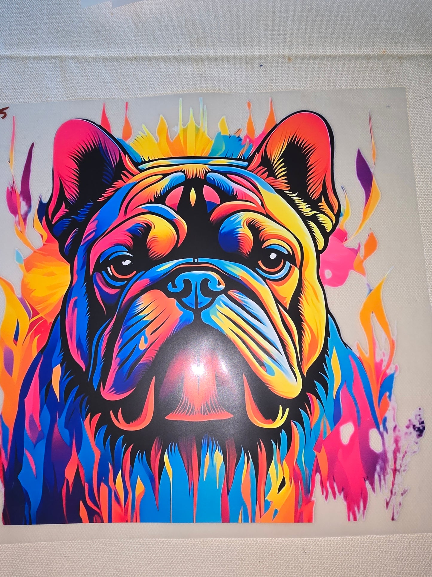 Heat Transfer - Dogs, Cats