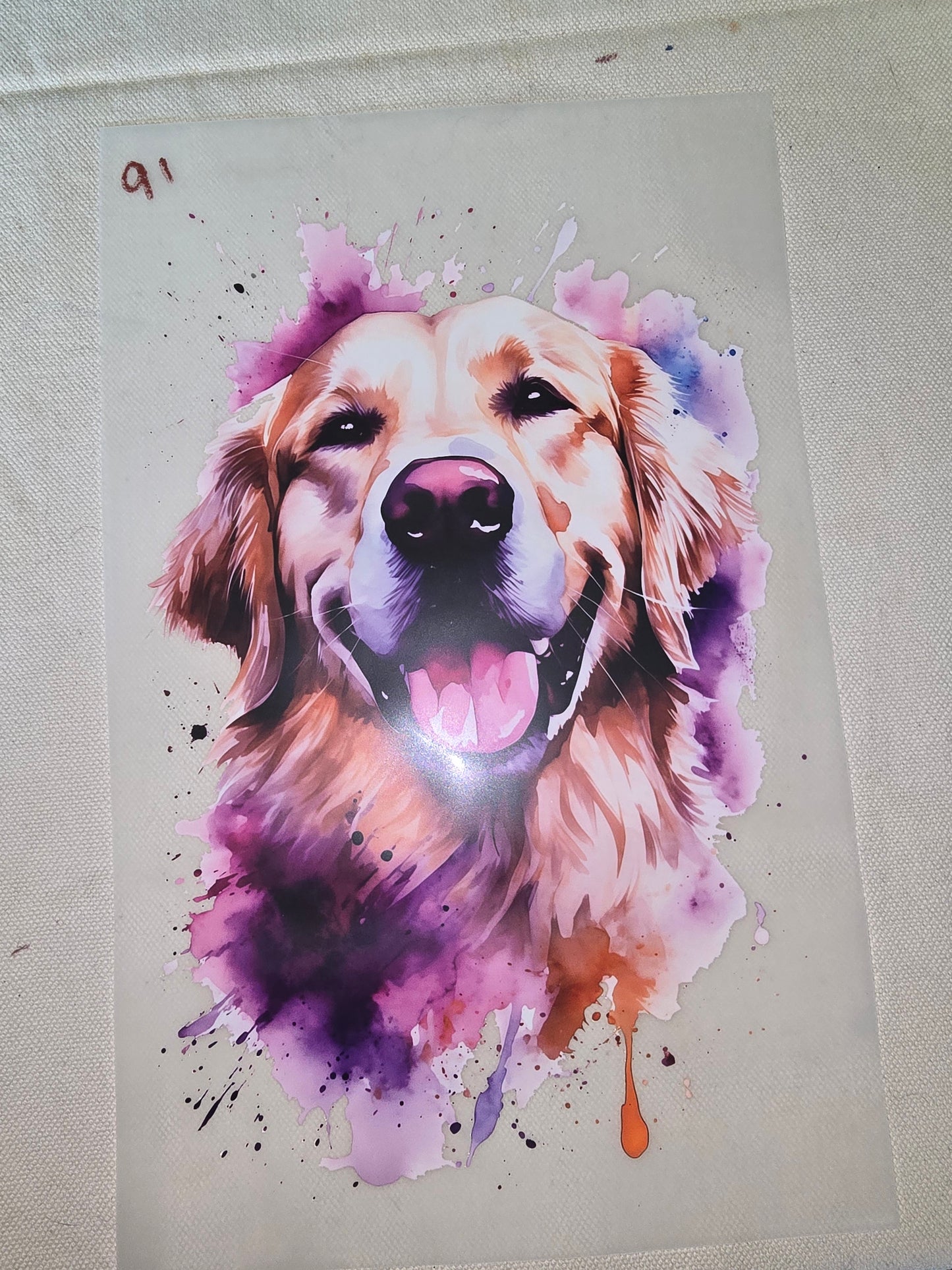 Heat Transfer - Dogs, Cats