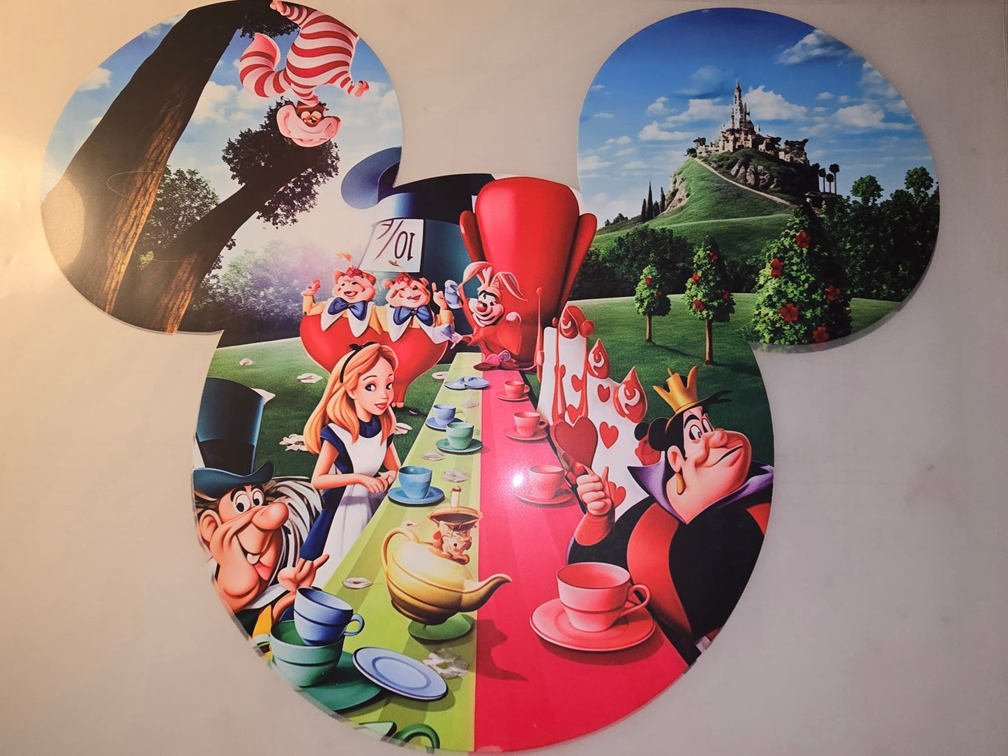 Heat Transfer - Disney