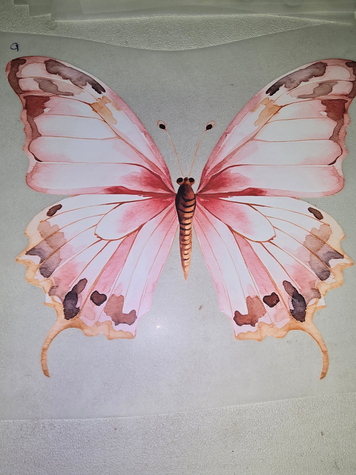 Heat Transfer - Bee, Butterfly, Dragonfly, Moth