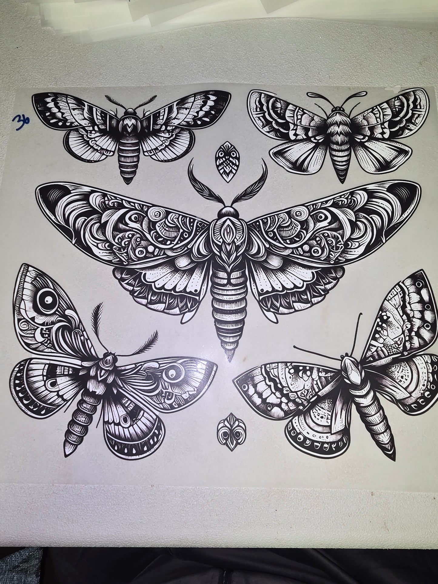 Heat Transfer - Bee, Butterfly, Dragonfly, Moth