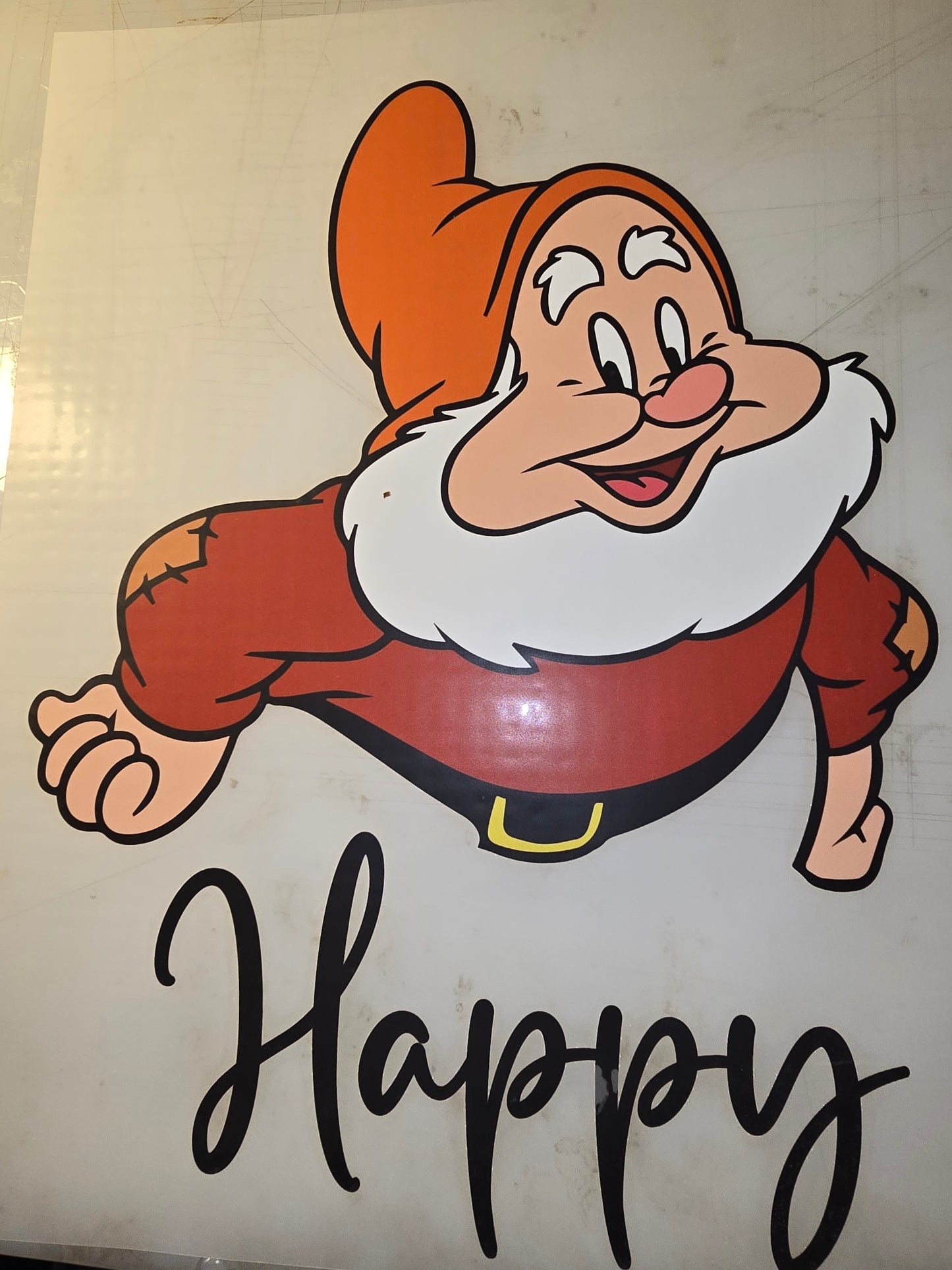 Heat Transfer - Disney