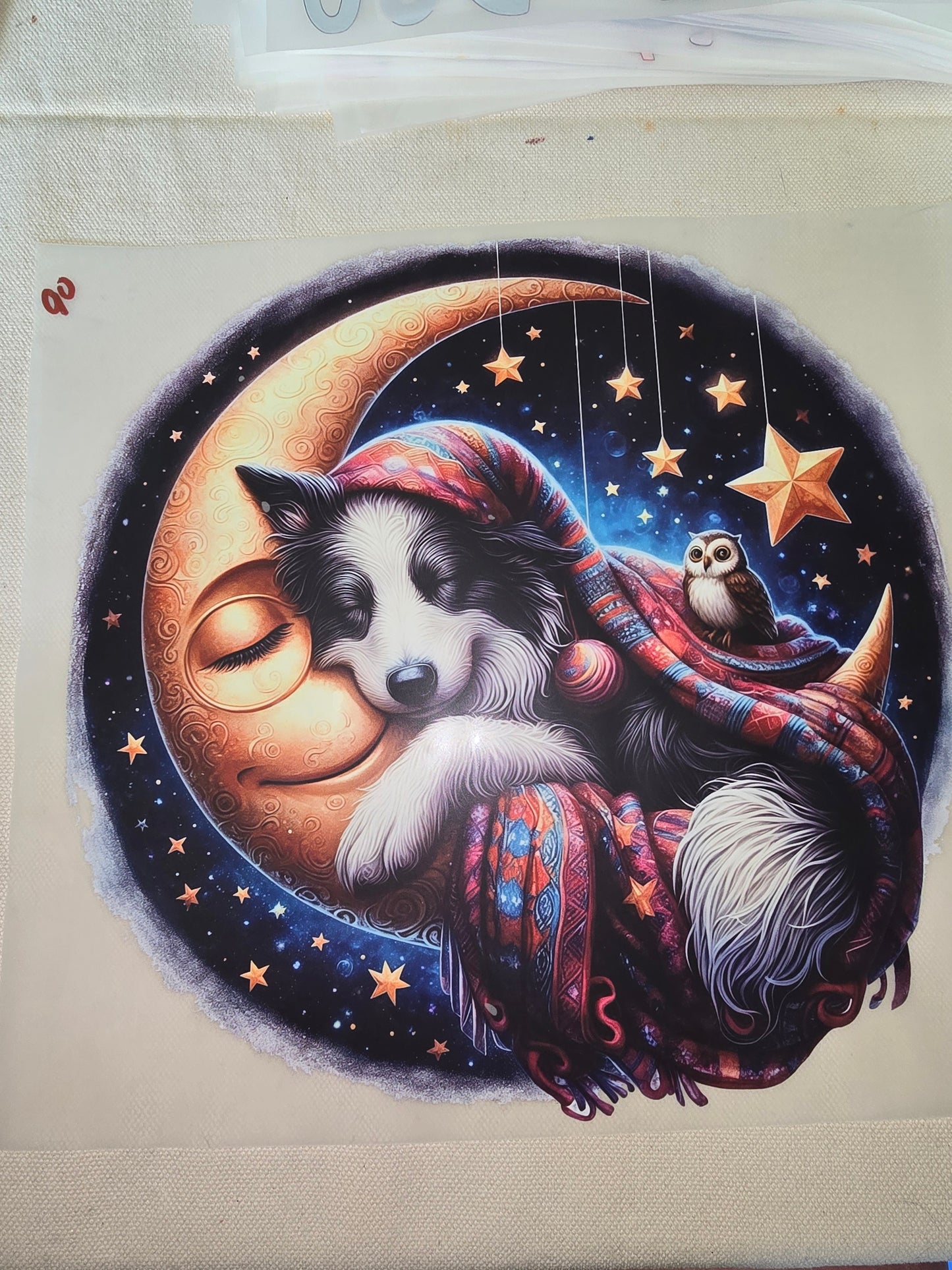 Heat Transfer - Dogs, Cats