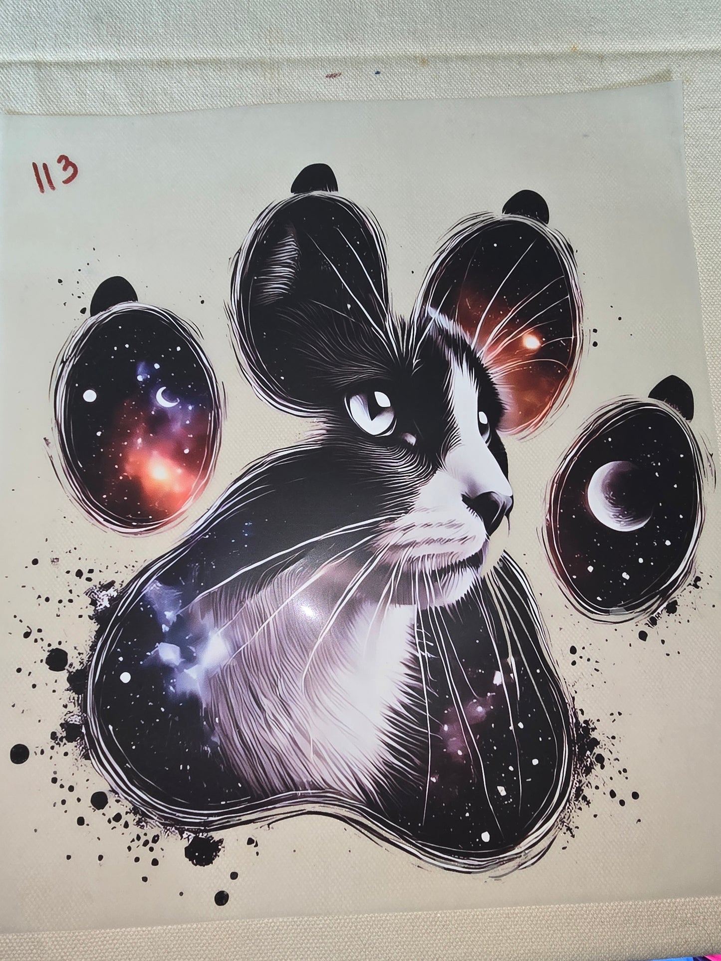 Heat Transfer - Dogs, Cats