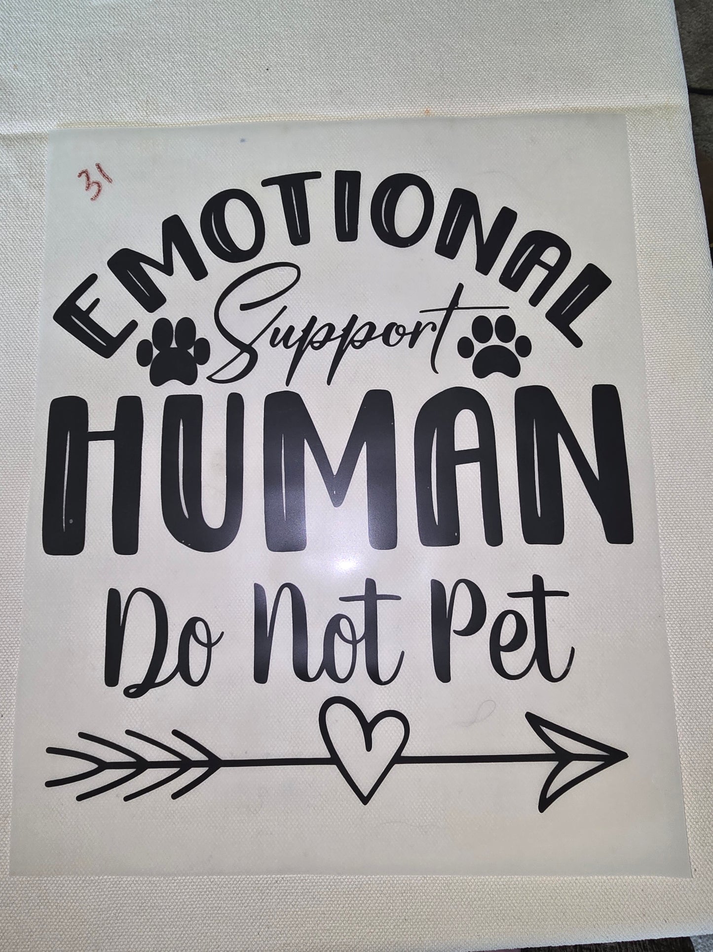 Heat Transfer - Dogs, Cats
